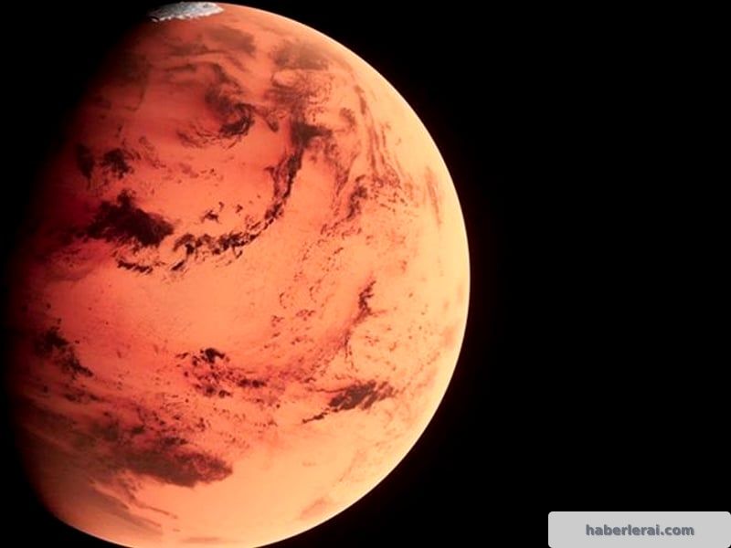 Mars'tan Gelen Dev Taş, Rekor Fiyatla Yeni Sahibini Buldu
