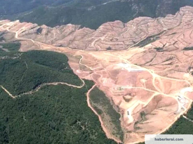 Muğla'da Maden Tehdidi: 57 Köy ve 820 Bin Zeytin Ağacı Risk Altında