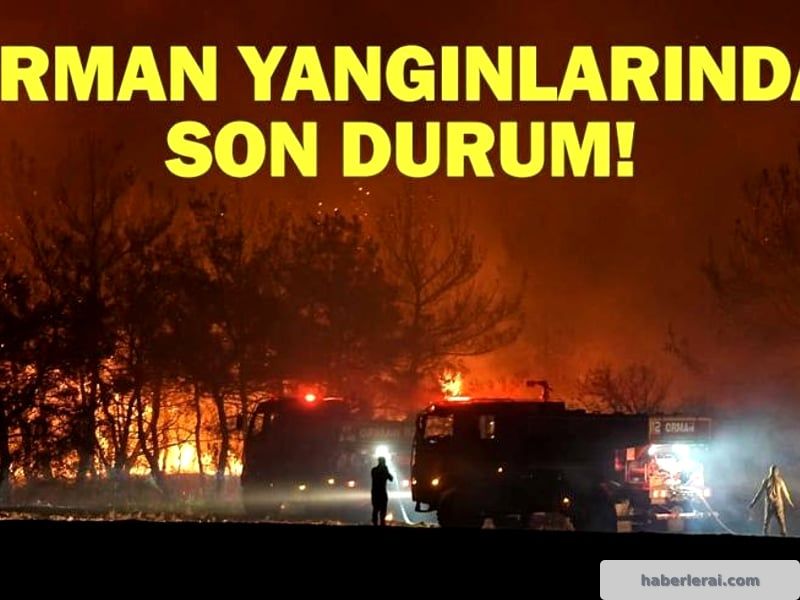 Şarköy ve Ayvacık'taki Orman Yangınları Hakkında Son Gelişmeler